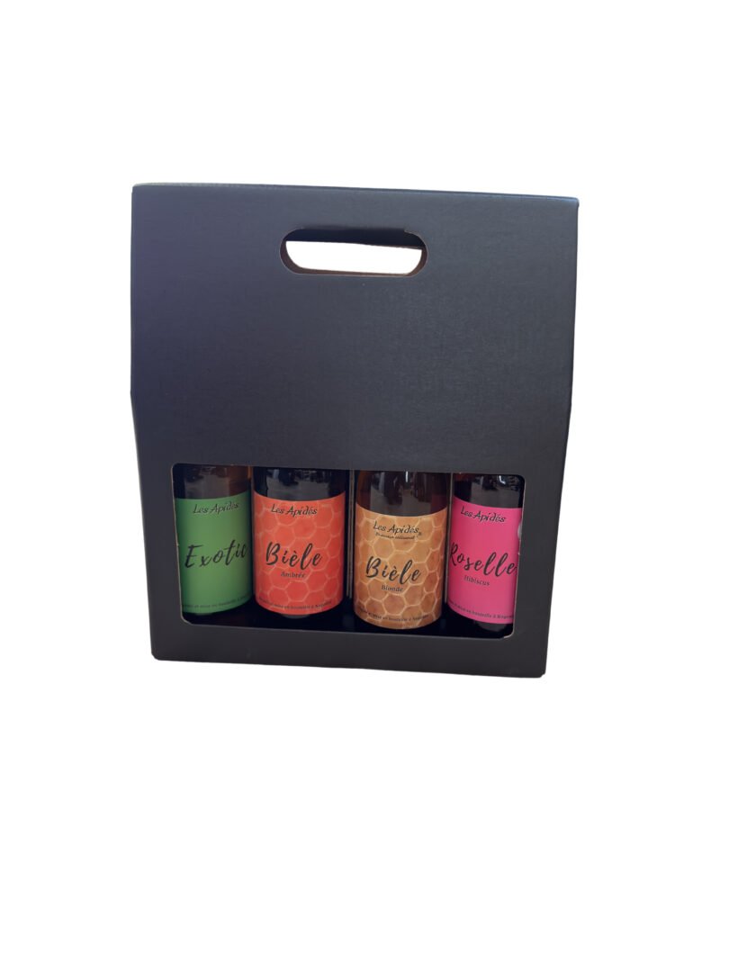 Valisette 4 Bières 33cl 2 Valisette 4 Bières 33cl – Image 2