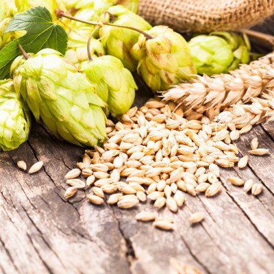 biere-a-facon-brasserie-artisanale-aisne-hauts-de-france-selection-ingredients-houblon biere a facon brasserie artisanale aisne hauts de france selection ingredients houblon